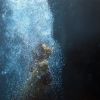 swim eric zener 21