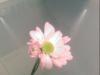 life_is_pointless