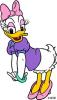 daisy duck