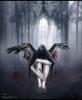 blackdagger82