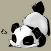Colourful Panda