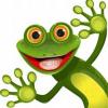 frogsplash